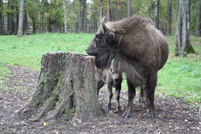 img - 2019-10-18T094642.923.jpg